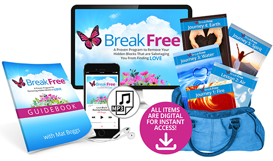 The BreakFree Program