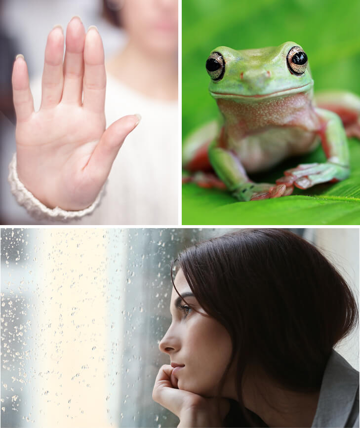 Collage