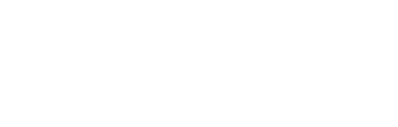 DBL Logo